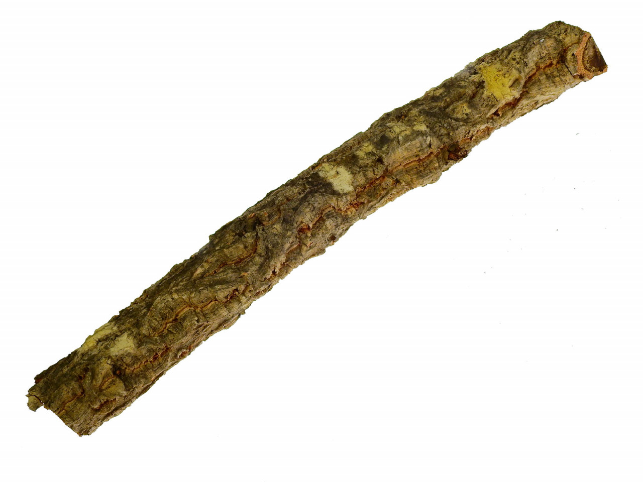 cork stem 20cm