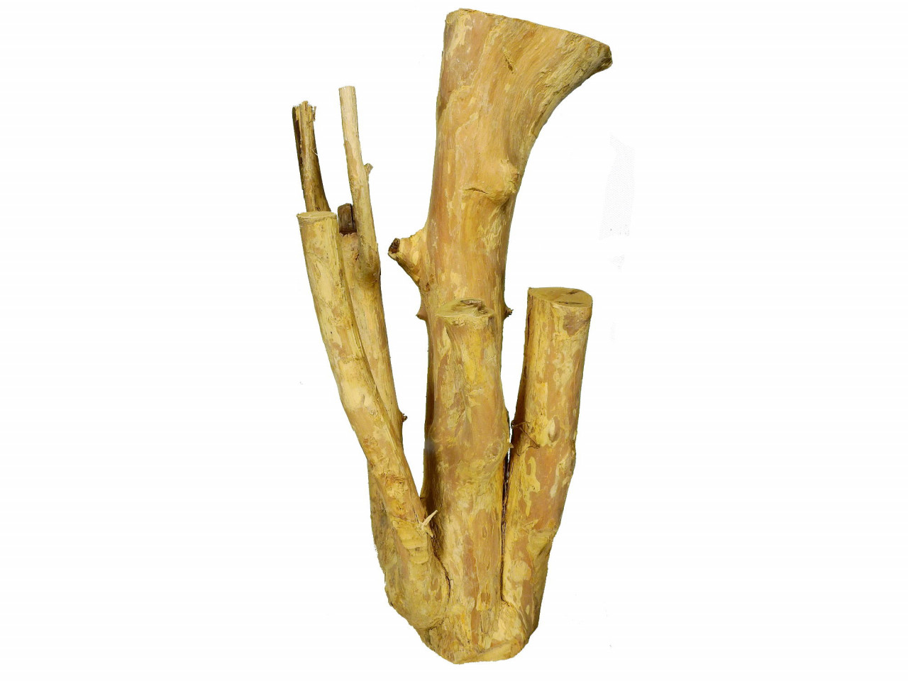 wood - coffee stem size M