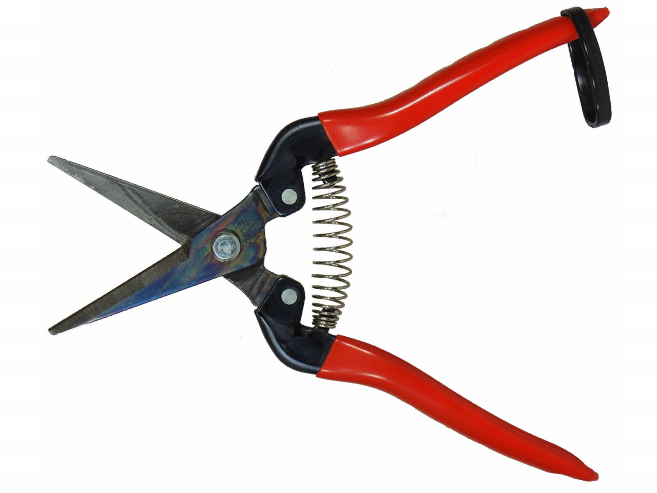 ARS 300L orchid scissors