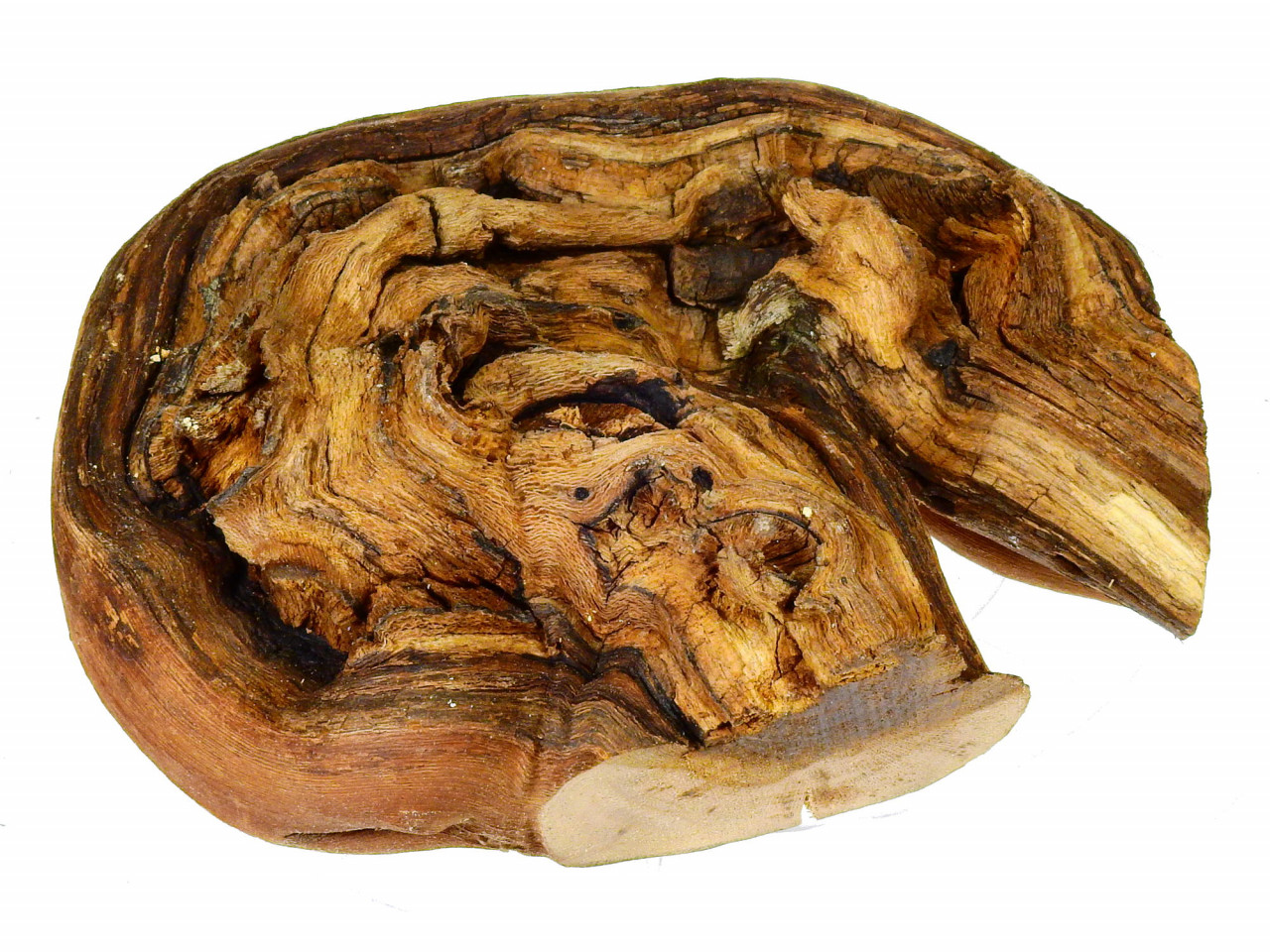 wood - dry vine wood M