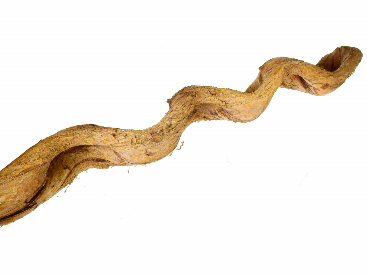 Wood - Liana snake type L